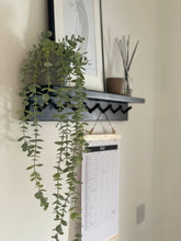 Load image into Gallery viewer, Peg Rail with Shelf - Key Hook / Hallway Shelf / Wood Shelf / Peg Hooks / Nursery Shelf / Coat Rack

